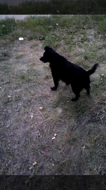 Рославль 12 м-он Луня Пчелка Жуля 6 смотреть онлайн