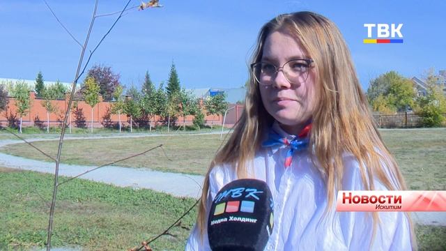 Рябино-липовая аллея появилась во дворе 4 школы Искитима