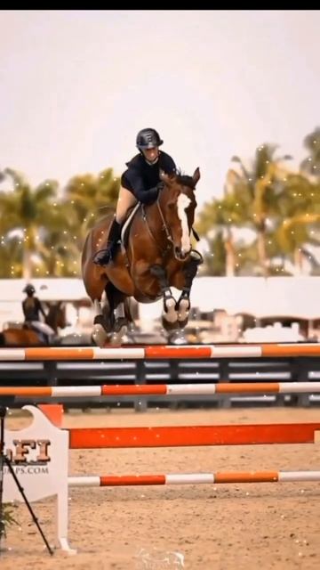 Любите канкур? лошадьканкурконный спортлошадь