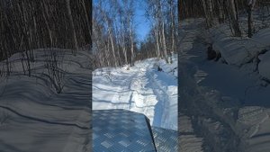 Каракат по снегу