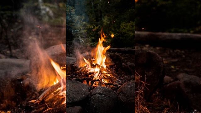 Звуки леса 🌳 звук костра в лесу🍀 птицы . Огонь. Расслабление и отдых. Сон смотреть онлайн