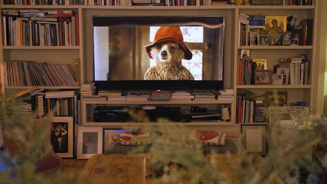 20230719-121001-037 смотреть онлайн