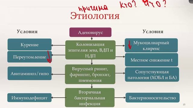 1 Патология. Введение в патологию