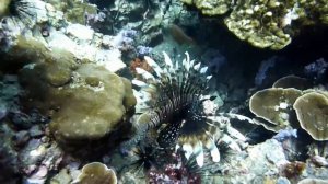 Shark Point, Phuket, Thailand