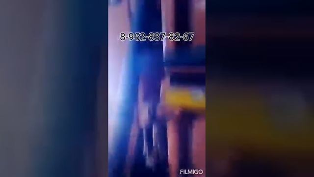 МЗК 70 по СОРНОМУ ПОДСОЛНЕЧНИКУ смотреть онлайн