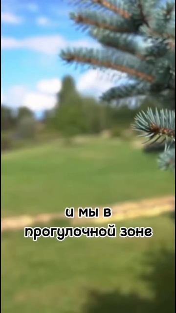 Больше тут  @aaagutenkova  Мэдисон парк — уютный оазис загородной жизни