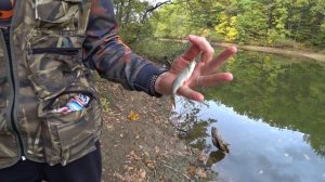 Быстрый мормышинг.