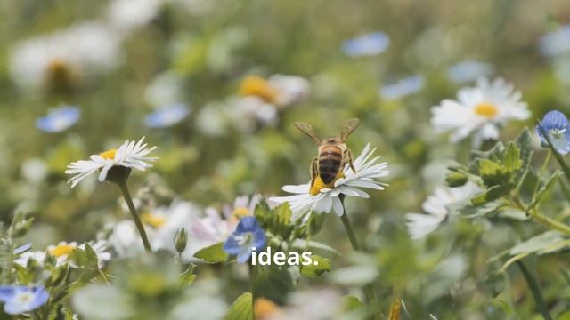 Spiritual Meaning of Bees | Here's What It Could Mean + What To Do
