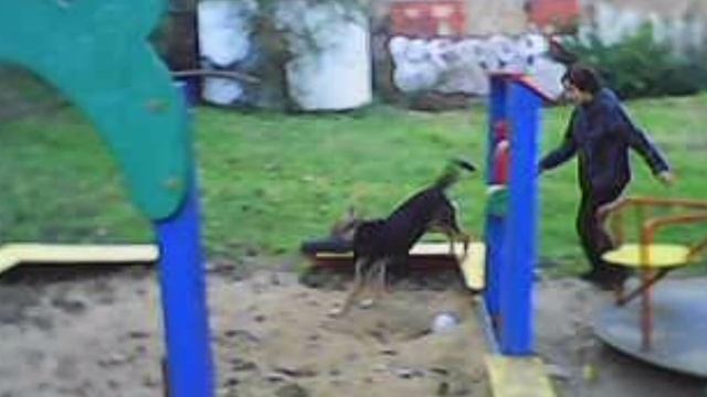 отдай тапок! мой мем в супер качестве (нет) смотреть онлайн