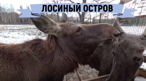 Что посмотреть /Куда сходить /Лосиный остров /Подмосковье