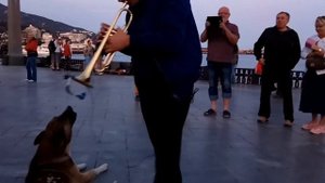 ЯЛТА/ИГРА НА ТРУБЕ/НАБЕРЕЖНАЯ Виктор Малиновский