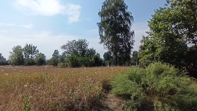 Дом в Деревне/ Life in the Village 2 / Из города в деревню/Липецк/7 пассажиров