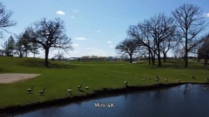 DJI Mini 4K vs Mini 2 | Are they really different drones?