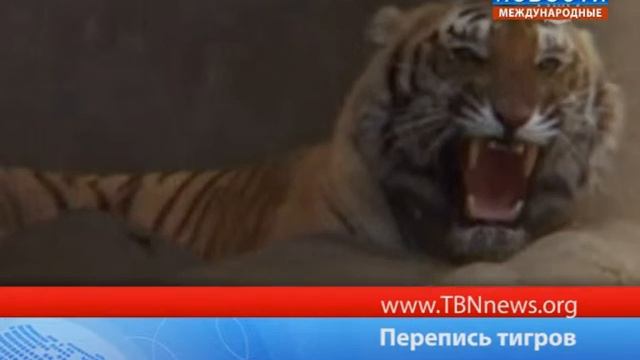 Научный прорыв