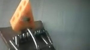 2 часть как буба ловит мышеловку