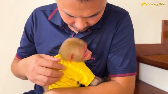 Bibi is sad and misses the spacious space like in the countryside! смотреть онлайн