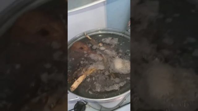 Икра Скалярок смотреть онлайн