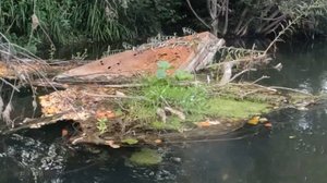 Мелодия вятской речки