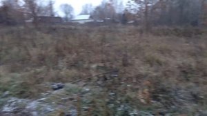 Копаем картошку 30 октября))