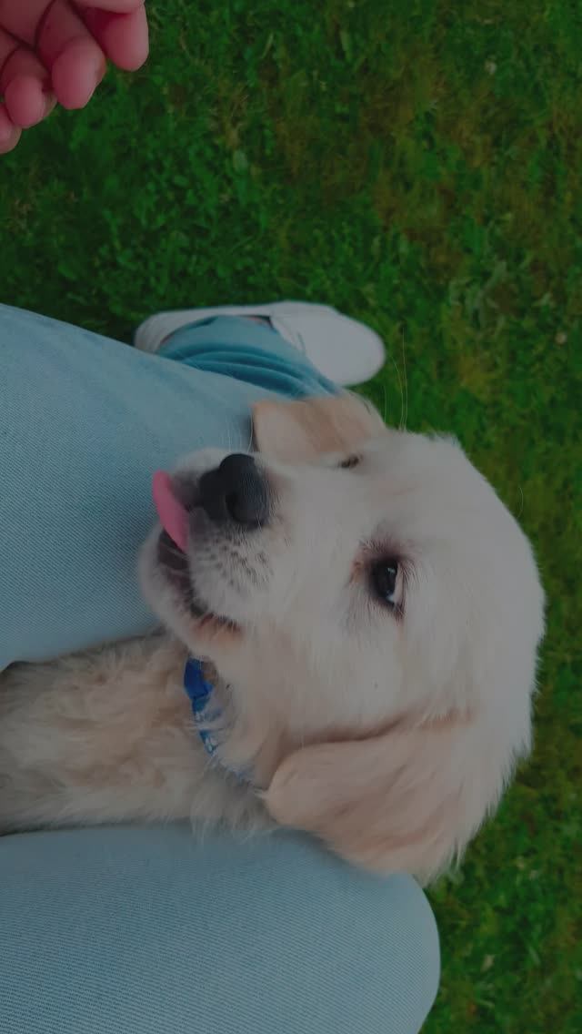 СЭМ смотреть онлайн