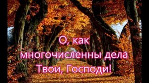 Осень прекрасная пестрая пышная.