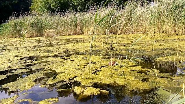 20170604 160009 смотреть онлайн