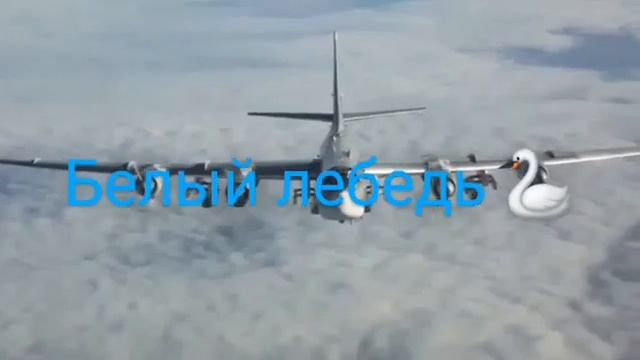 Белый Лебедь🦢🦢🦢