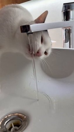 Умница)))