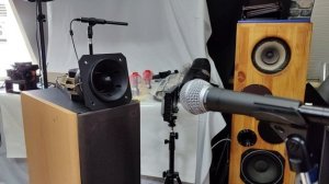 Работа динамика Celestion HF-50 для Avito