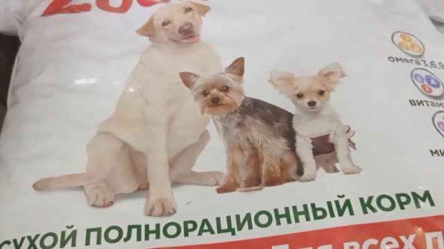 Отличный завоз нового товара, многое дешевле. Обзор магазина низких цен.Светофор выручает! смотреть онлайн