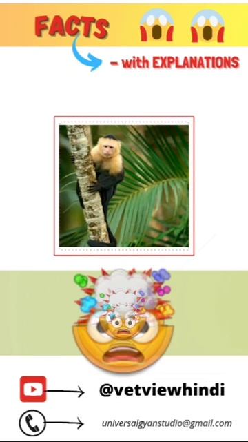 Animal facts | YouTube Shorts | amazing facts | interesting facts | #animalshorts @vetview 🇮🇳 смотреть онлайн