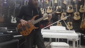 Peavey Bass Millenium BXP