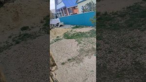 ямз 238 д1 с глушителем на камазе 53212