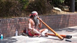 Австралийцы. Абориген с трубой. (видео 119)