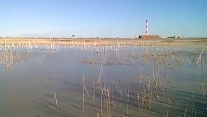 Золоотвал ТЭЦ-1