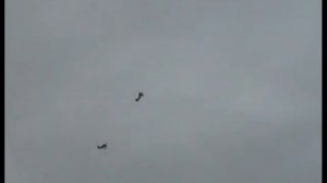 Сталинские Соколы