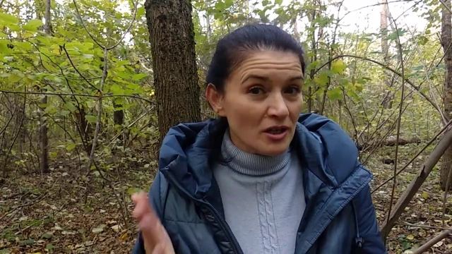 Гороскоп или хорар