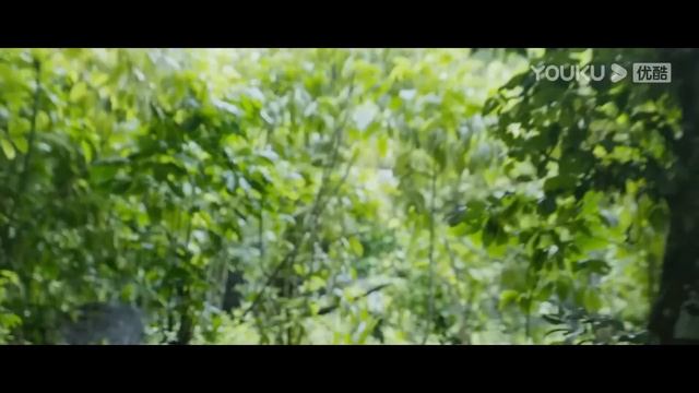 自食恶果！男人捕杀小蛇、砸蛇蛋，巨蛇发起疯狂报复！ 【蛇岛狂蟒 Snake Island Python】 经典大本营 смотреть онлайн