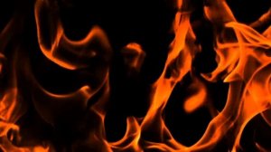 Надежда на Трампа. Кризис и крах