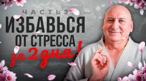 ИЗБАВЛЯЕМСЯ от СТРЕССА и ТРЕВОГИ за 2 ДНЯ! | Путь к гармонии в семье и жизни. Часть 2