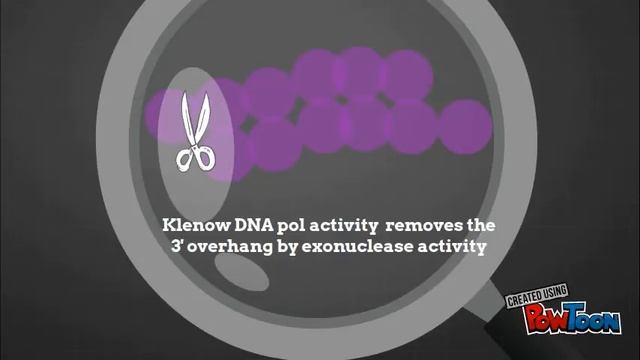 RNA Sequence Library смотреть онлайн
