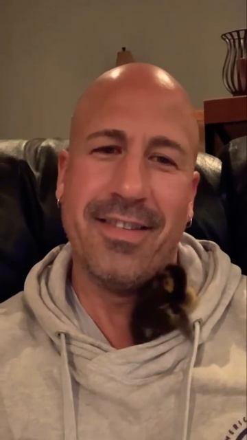 BABY DUCK CUDDLING IN FOR A NAP #shorts смотреть онлайн