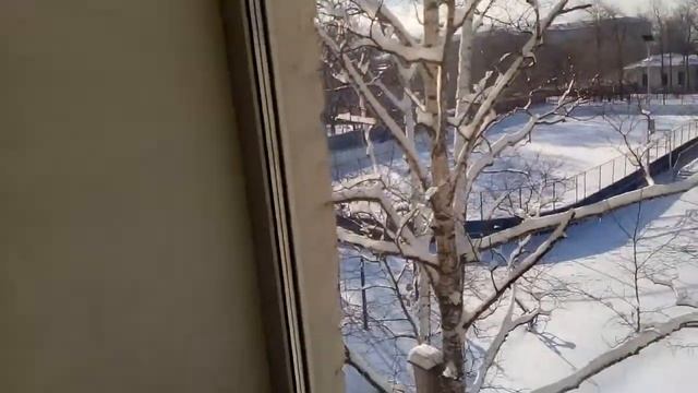 Каникулы/уборка класса смотреть онлайн