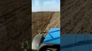 Культиватор КППО. Работа в поле. 2я часть