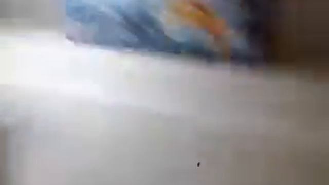 Я купила 3 лего!!! Мой рекорд!!!! смотреть онлайн