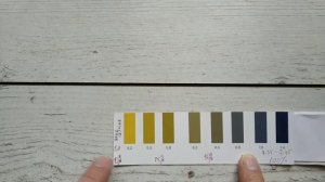 Как определить PH организма человека