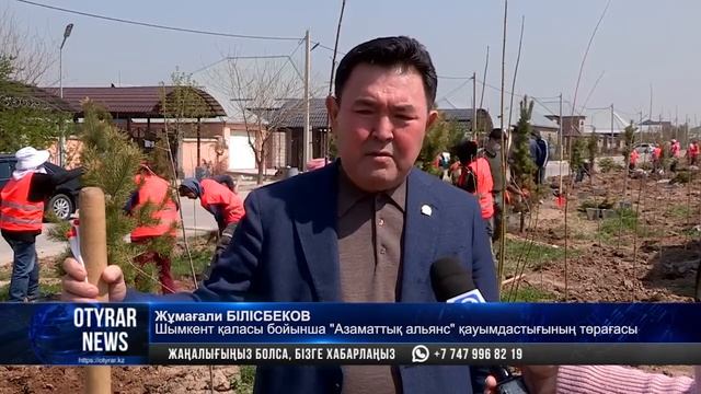 Шымкент: Абай ауданында 1700-ден астам көшет отырғызылды смотреть онлайн