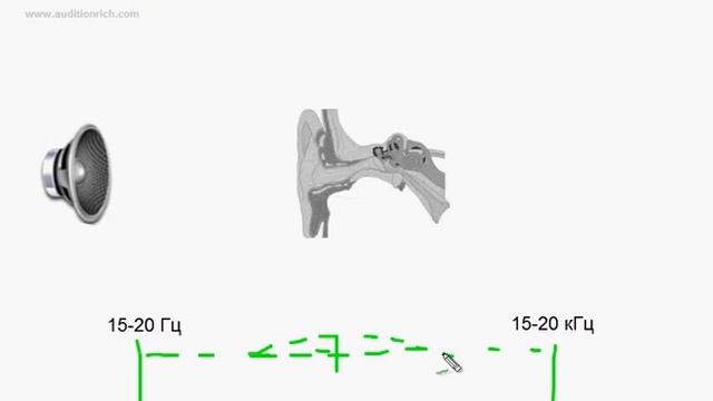 2. Специфика восприятия человеческим слухом мелодического звука | Auditionrich.com смотреть онлайн