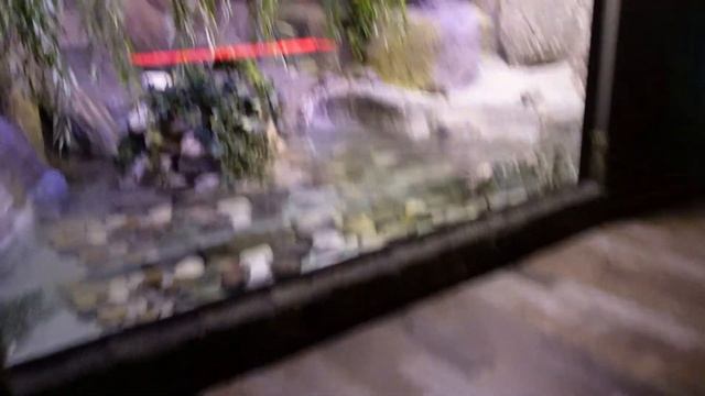 Αntalya Αquarium. Отпуск с детьми Турция. смотреть онлайн