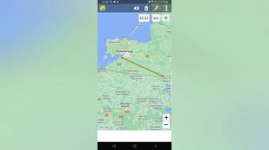 Третьи соревнование спортивных голубей. Калининградский клуб спортивного голубеводства.